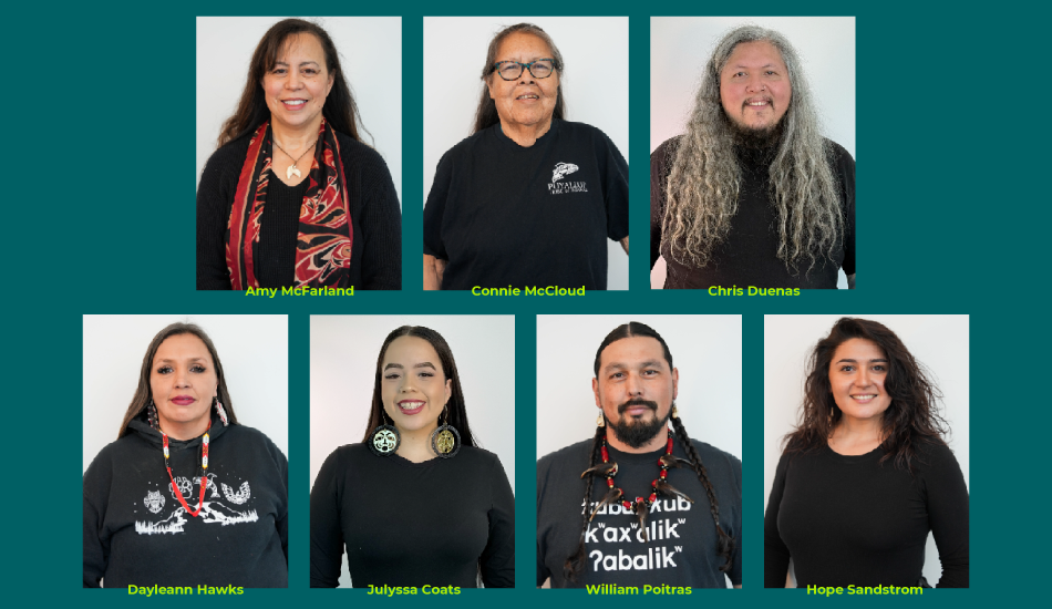 Meet the team